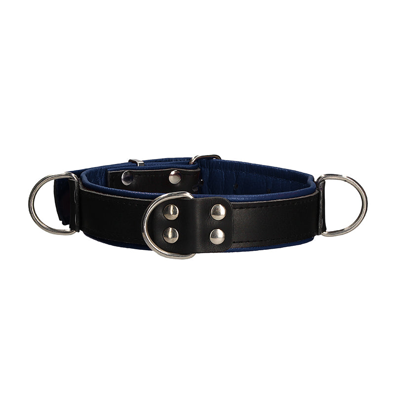 Shots Premium Leather Adjustable Bondage Collar Black/Blue
