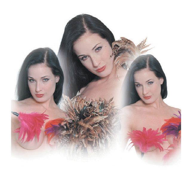 Sportsheets Pleasure Feather Tickler Black